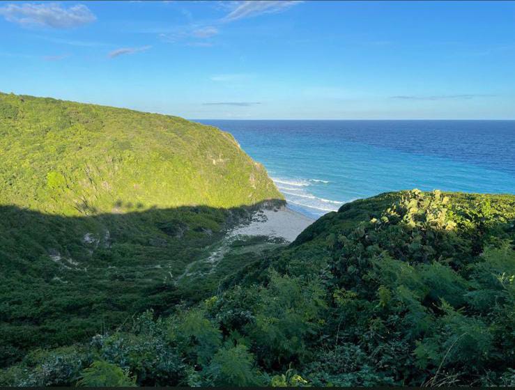 Bahía 2