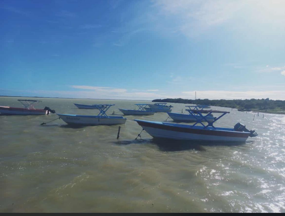 Bahía 3